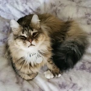 Meet your Posher, Kaitlyn